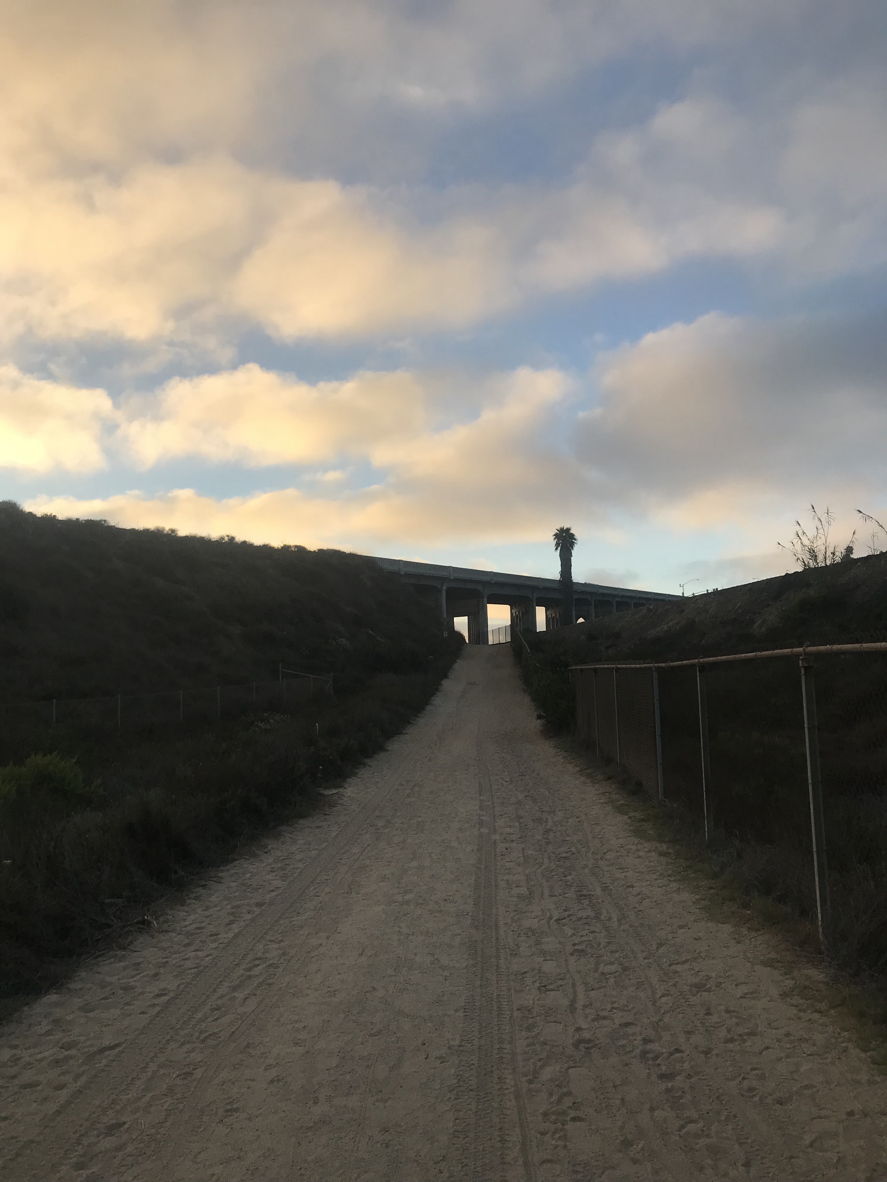 Bridge on the Beach